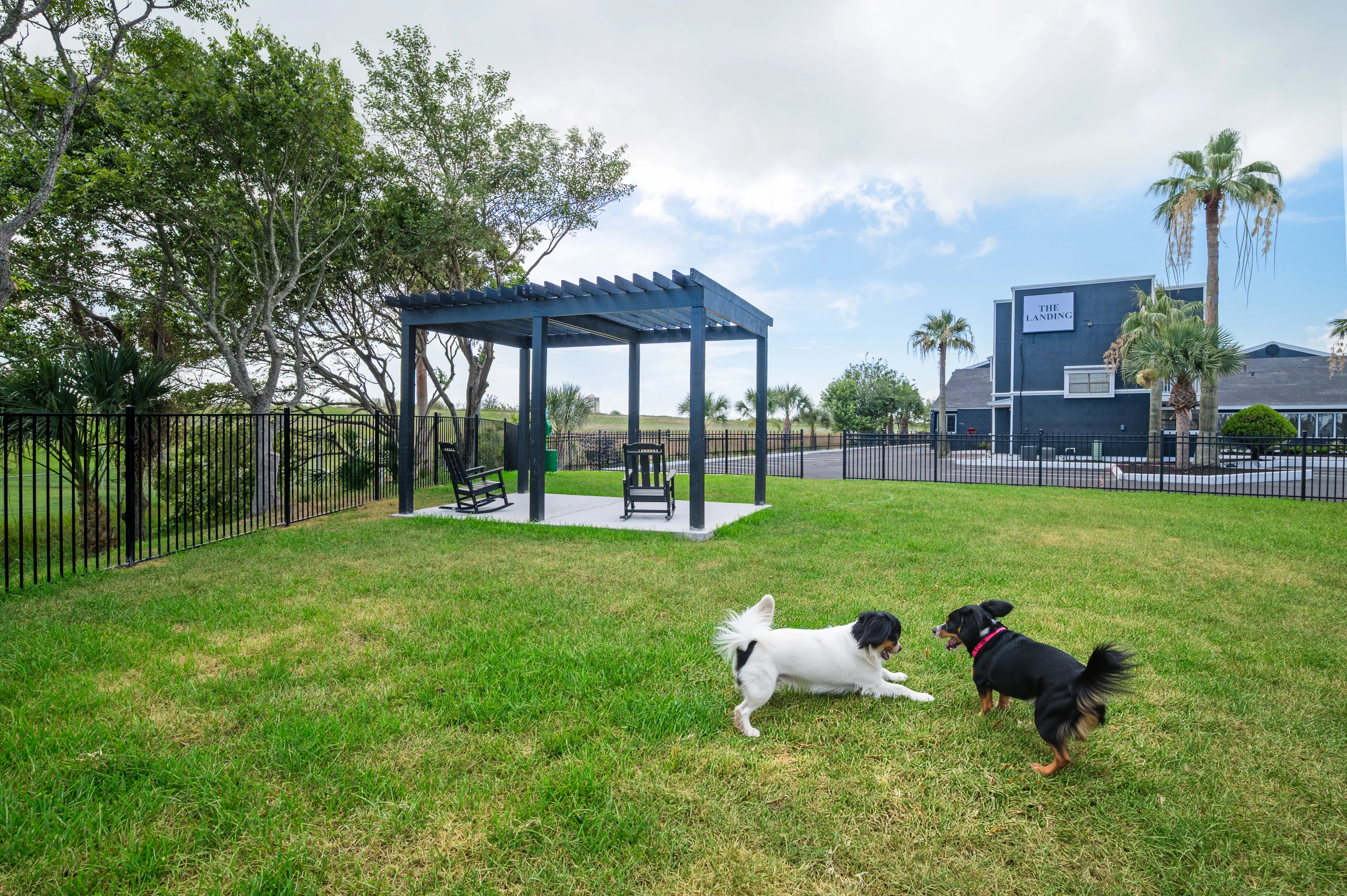 Dog Park
